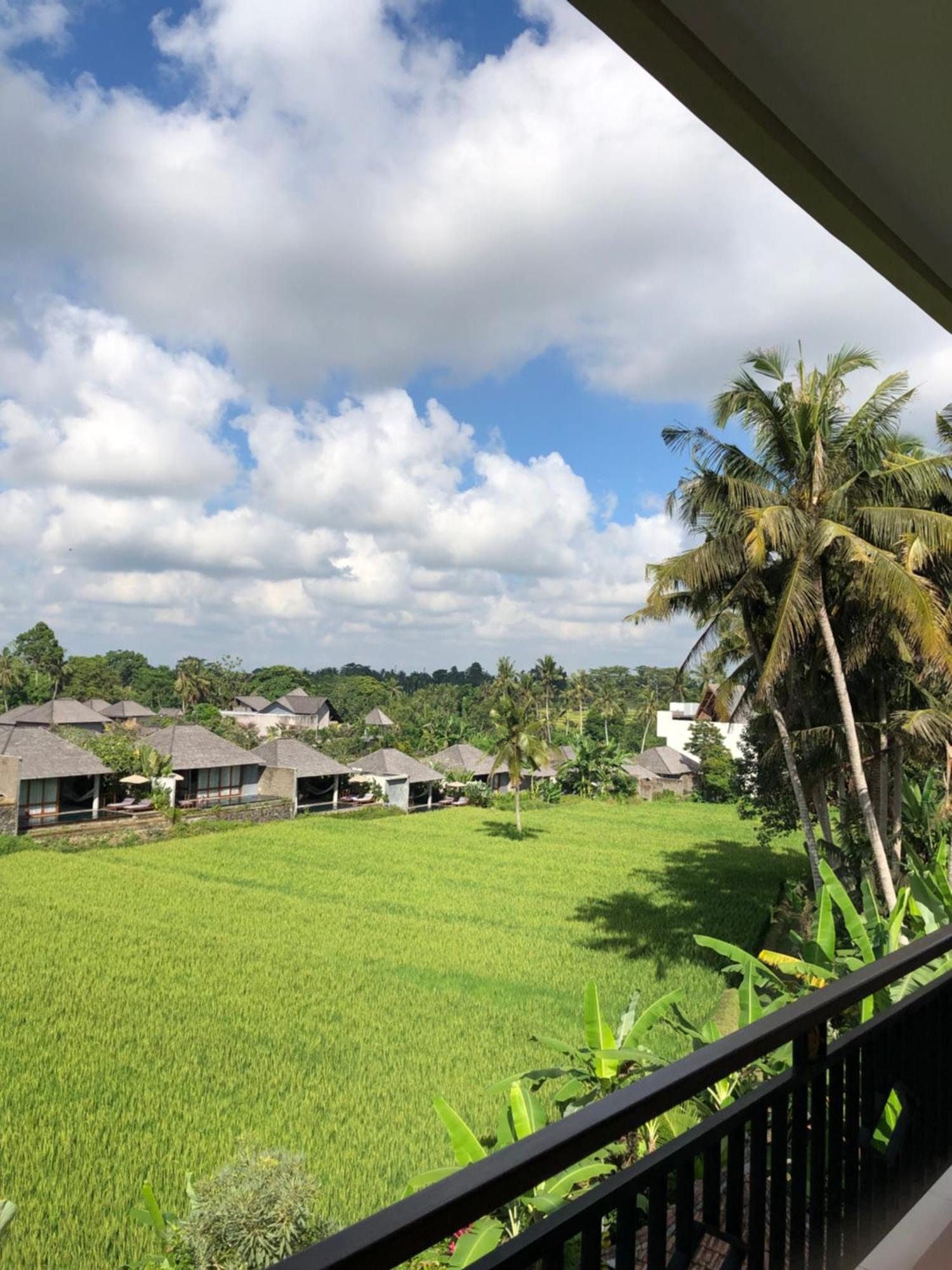 Mira Family Cottages Ubud Eksteriør bilde