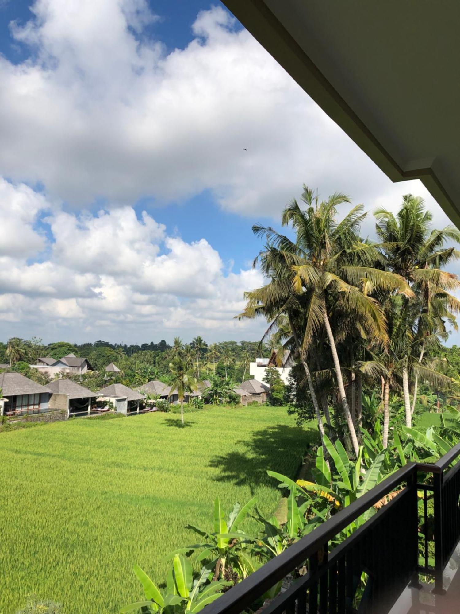Mira Family Cottages Ubud Eksteriør bilde