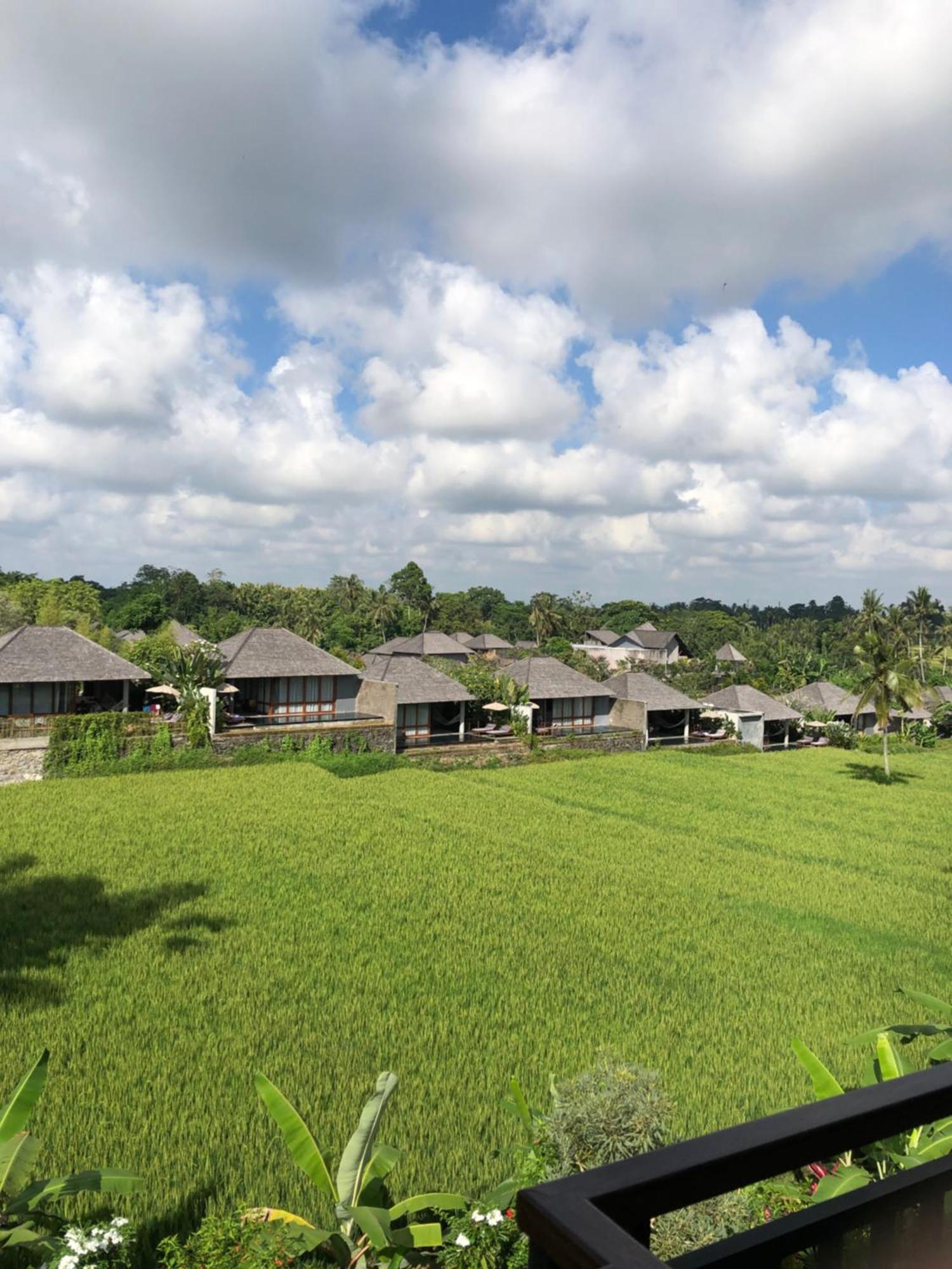 Mira Family Cottages Ubud Eksteriør bilde
